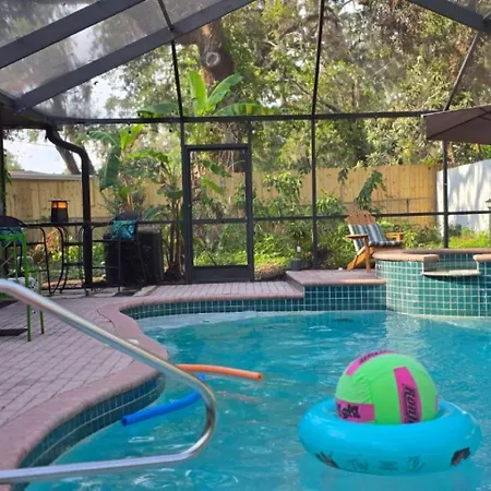 Jungle Oasis By Busch Gardens Usf And Amphitheater Apartment